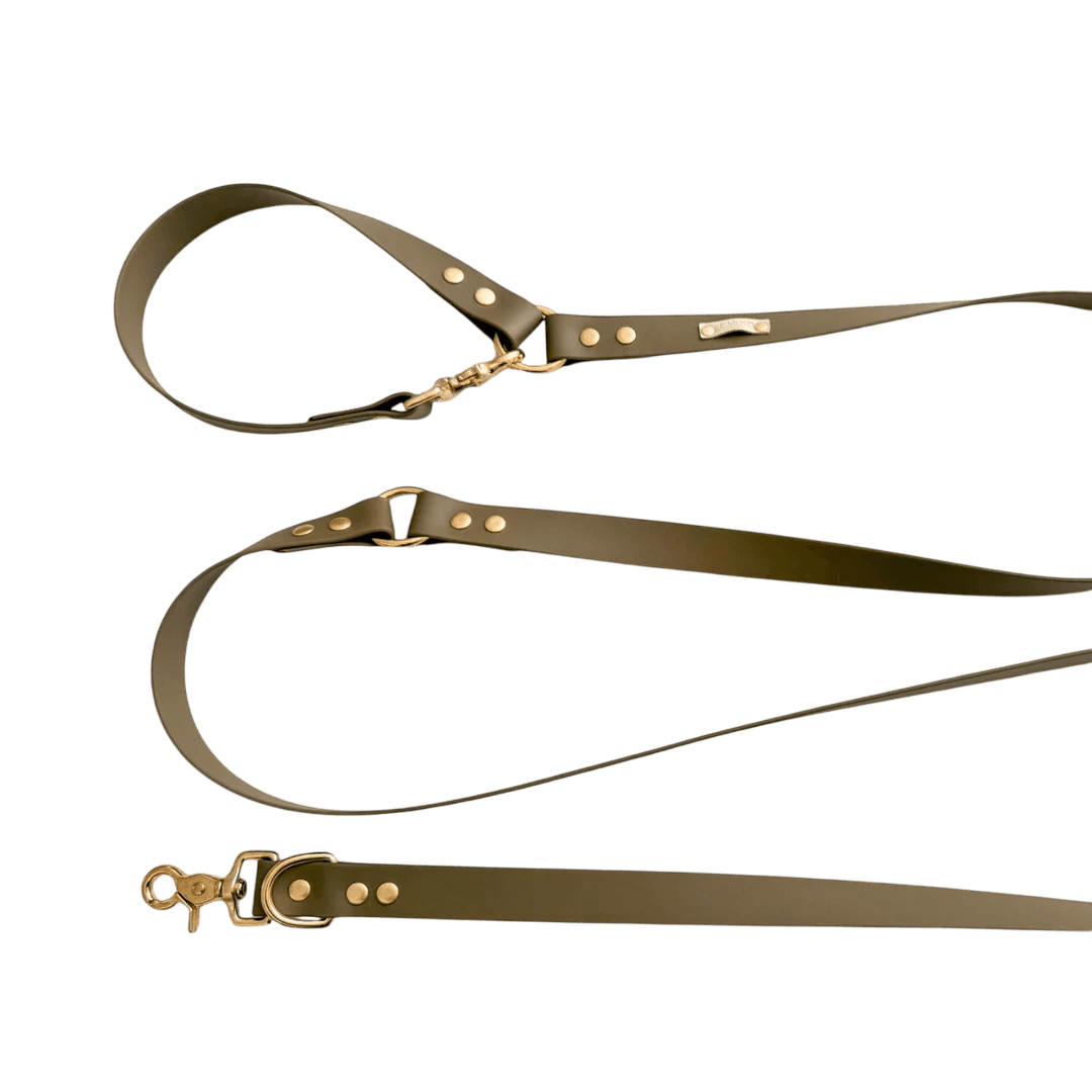 Laisse Biothane pour chiens multi positions en vert kaki, résistante et ajustable, parfaite pour les activités en plein air.