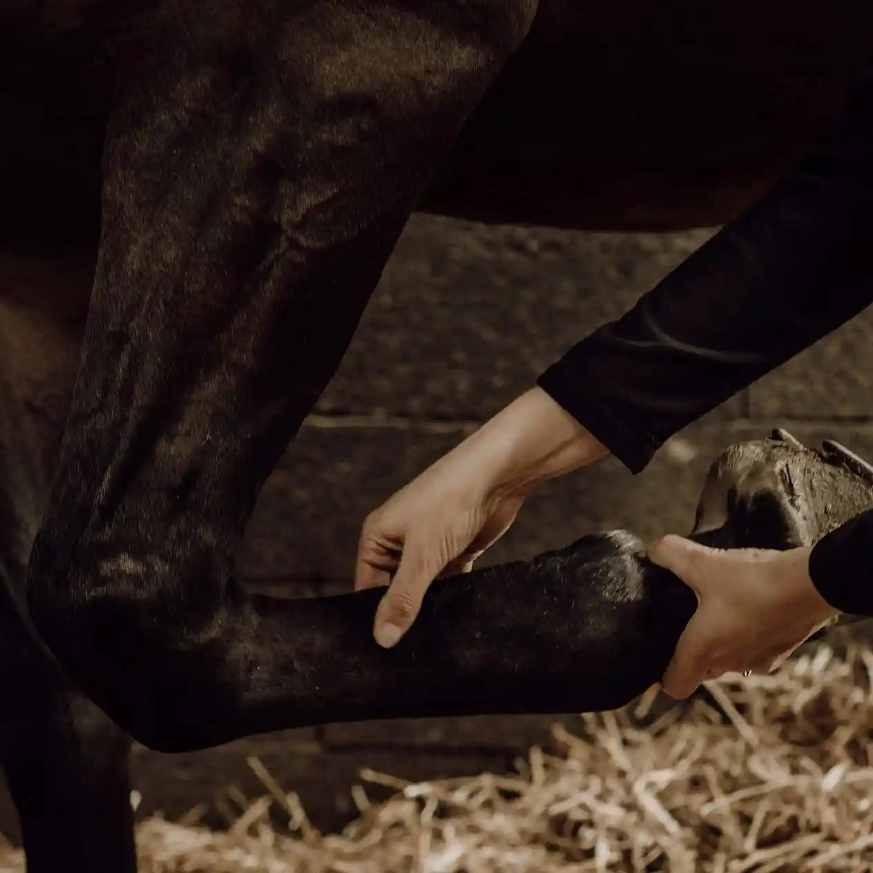 Gel massage cheval chauffant Nellumbo 200ml pour soulager les muscles des chevaux. Soin équin idéal après l'effort pour détente et récupération.