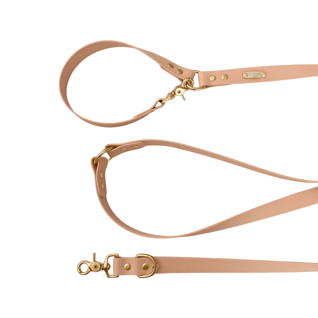 Laisse Biothane pour chiens multi positions en rose pâle, élégante et fonctionnelle pour les balades et les entraînements canins.