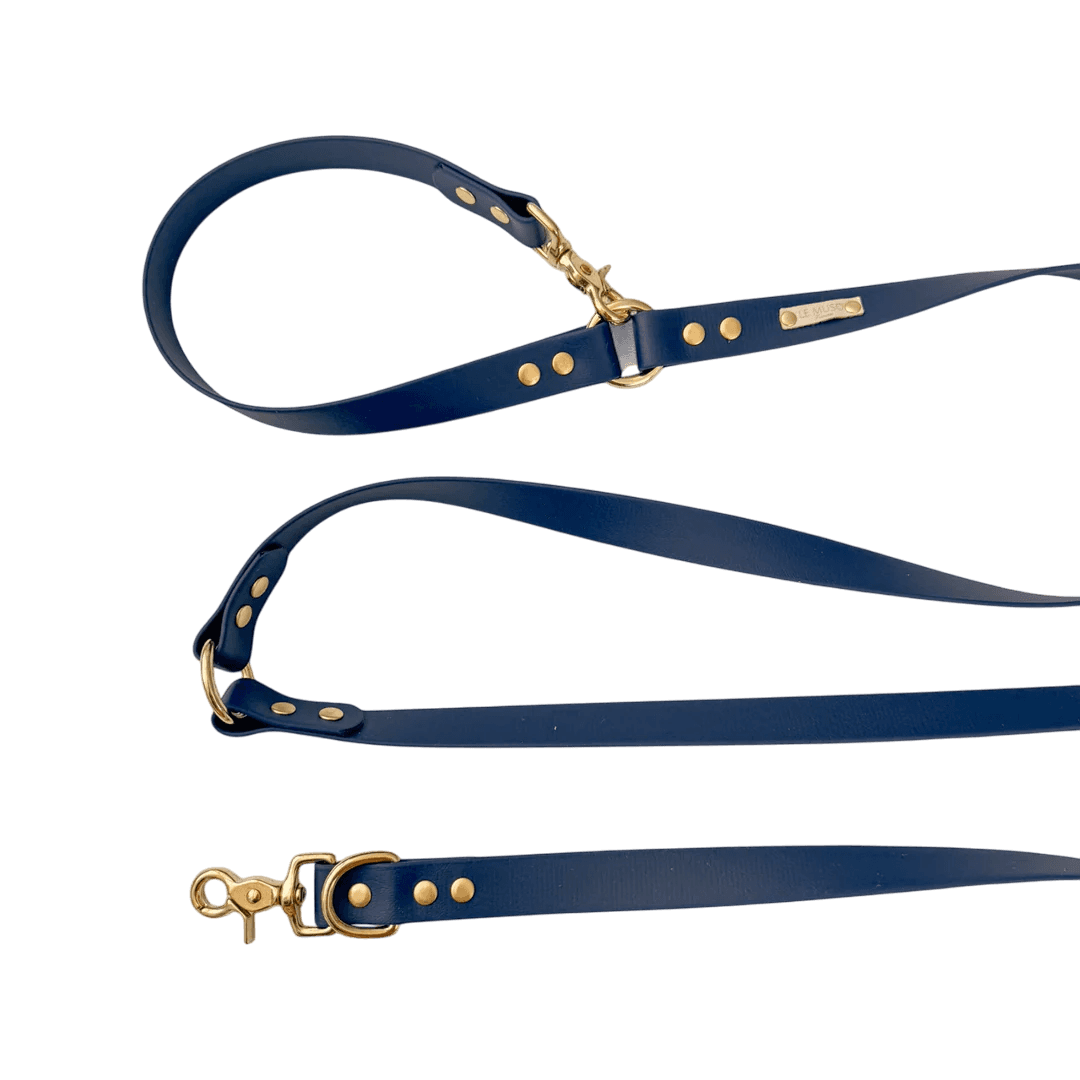 Laisse Biothane pour chiens multi positions en bleu marine, durable et stylée pour toutes les sorties avec votre animal.