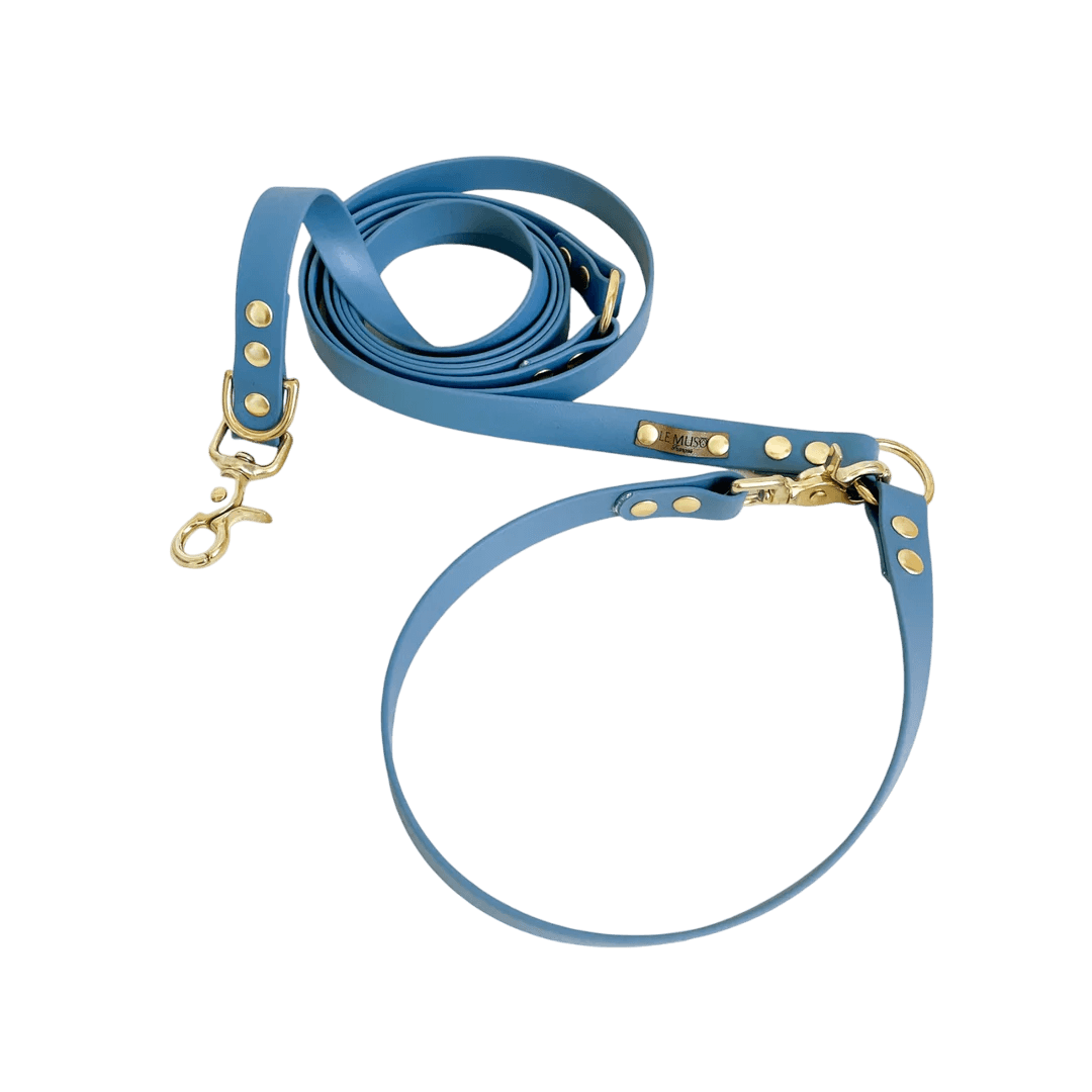 Laisse Biothane pour chiens multi positions en bleu clair enroulée, pratique et résistante pour les promenades sportives ou détentes.
