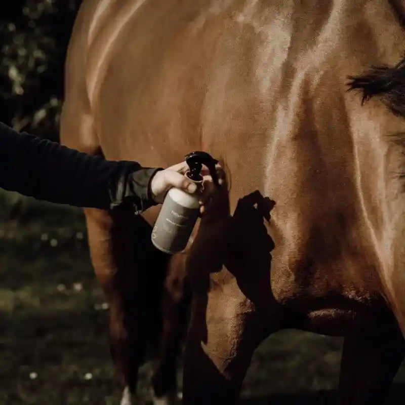 Répulsif Insectes Chevaux - Efficace et Longue Durée en spray de 250 ml avec bouchon bois, idéal pour repousser mouches et tiques. Produit naturel et sûr pour les soins équins.