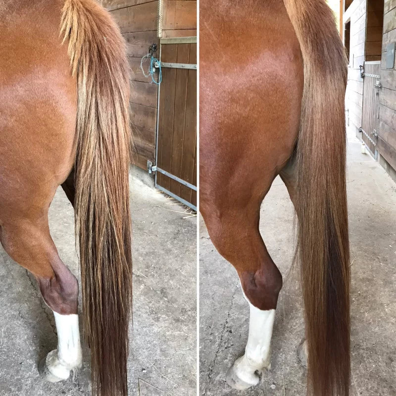 Démêlant chevaux crins naturels Nellumbo avec aloe vera bio, flacon spray 250ml pour soin hydratant et brillance des crinières équines.