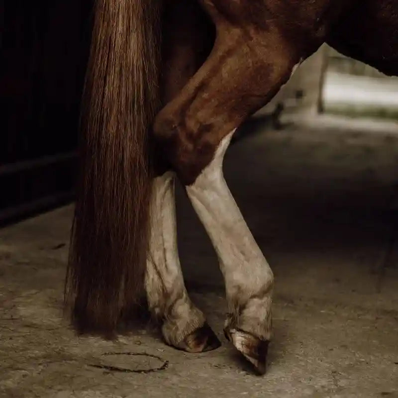 Démêlant chevaux crins naturels Nellumbo avec aloe vera bio, flacon spray 250ml pour soin hydratant et brillance des crinières équines.